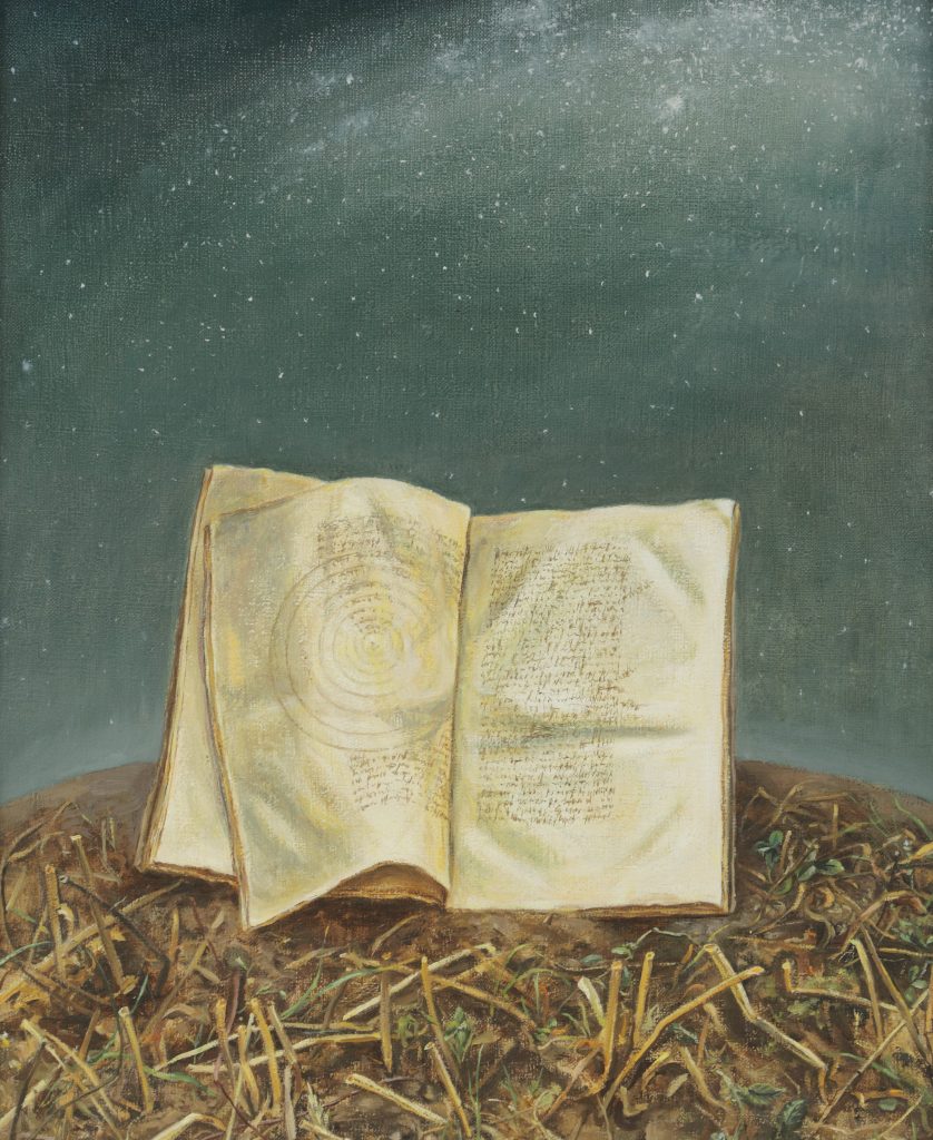 Otwarta książka na ziemi w ciemnej scenerii.