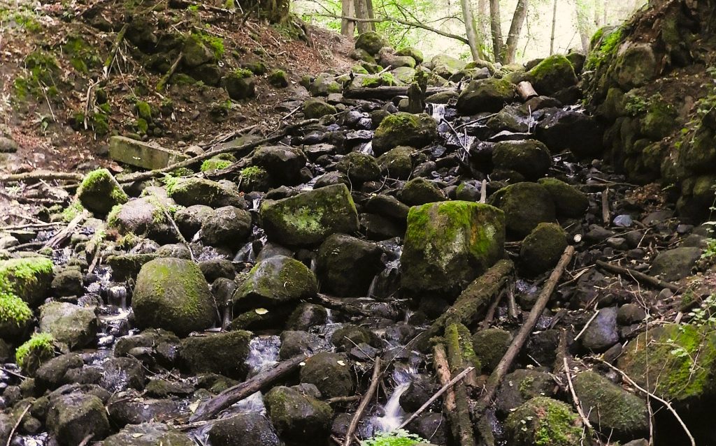 Strumień z kamieniami porośniętymi mchem
