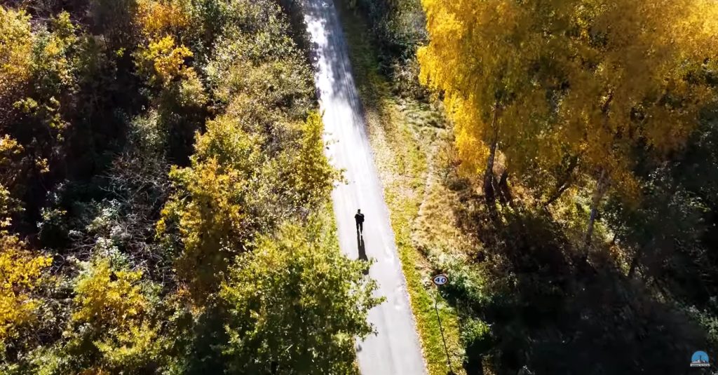Osoba spacerująca po drodze w otoczeniu drzew.
