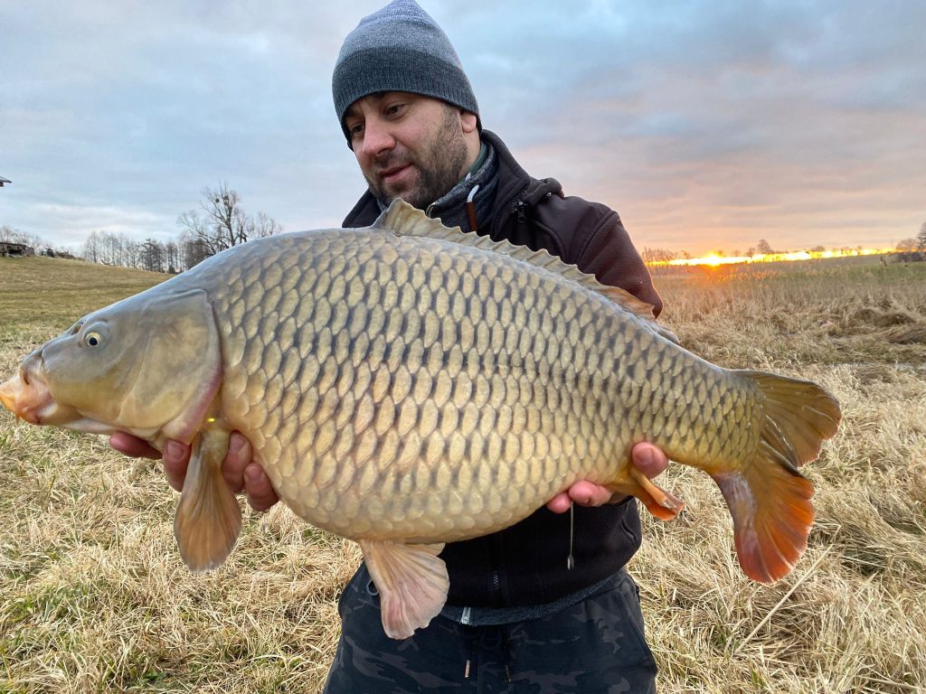 Mężczyzna trzyma dużego karpia na tle zachodzącego słońca.